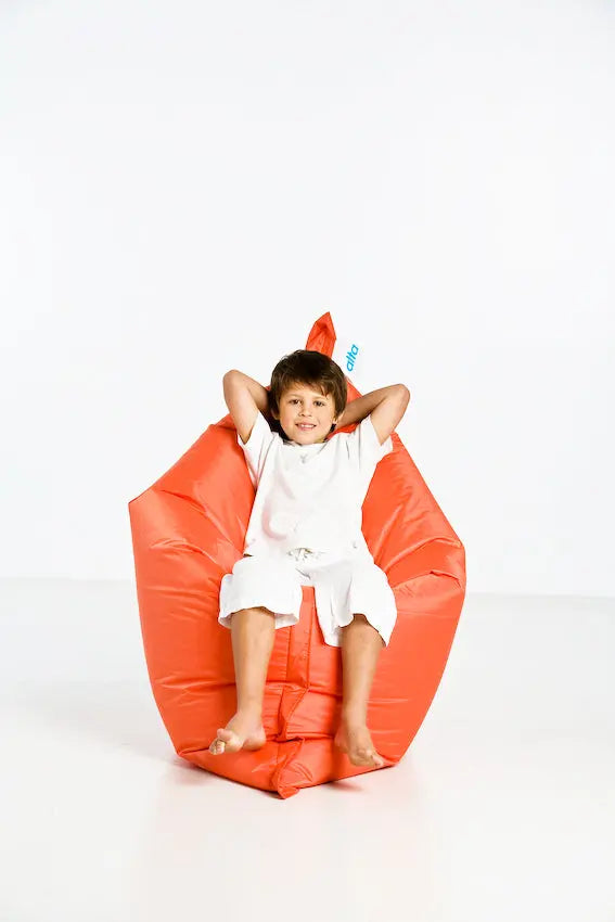Regular Alta Beanbag: The Regular Alta Beanbag combines thoughtful design with everyday practicality.