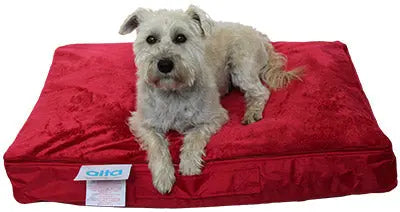 Designed with your pet's comfort in mind, this versatile beanbag provides a supportive yet plush resting surface for cats and small dogs.