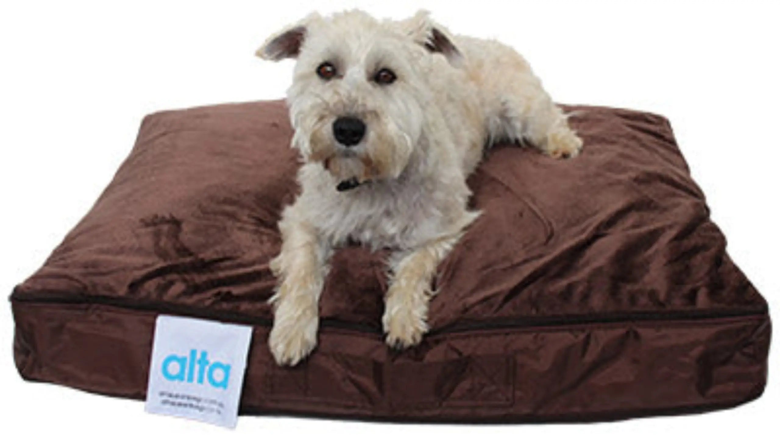 Designed with your pet's comfort in mind, this versatile beanbag provides a supportive yet plush resting surface for cats and small dogs.